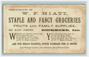1880's W.F Hiatt Fancy Groceries Bell's Soap White Buffalo & Children P188