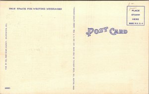 Vtg 1930s Sunken Gardens Longwood Near Wilmington Deleware DE Unused Postcard