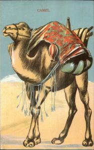 Mechanical Novelty Camel Cut Out Stand Up Novelty STAR SERIES c1910 Postcard