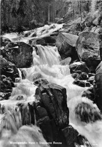 BG667 steinerne renne  wernigerode harz CPSM 14x9.5cm germany