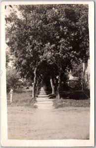 1919 Pathway Along The Trees Houses Real Photo RPPC Posted Postcard