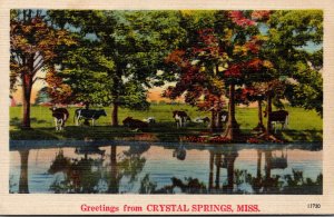 Mississippi Greetings From Crystal Springs Forest Scene