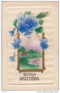 Embossed, Birthday Greetings, Violets, Country Scene, 10-20s