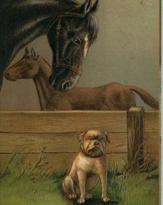 1908 Bulldog Horse Mare Foal Black Brown Embossed Farm Fence Cute Postcard 