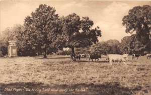 9524 Stake Pages, The lowing herd wind slowly over the lea