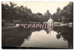 Old Postcard Castellon de la Plana Estanque del Parque