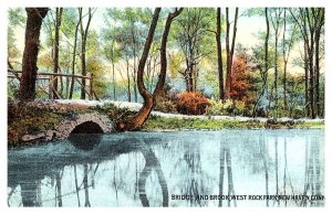 Connecticut  New Haven , Bridge and Brook, West Rock Park
