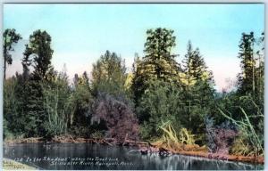 KALISPELL, Montana  MT   Stillwater River Where the Trout Lurk c1910s Postcard