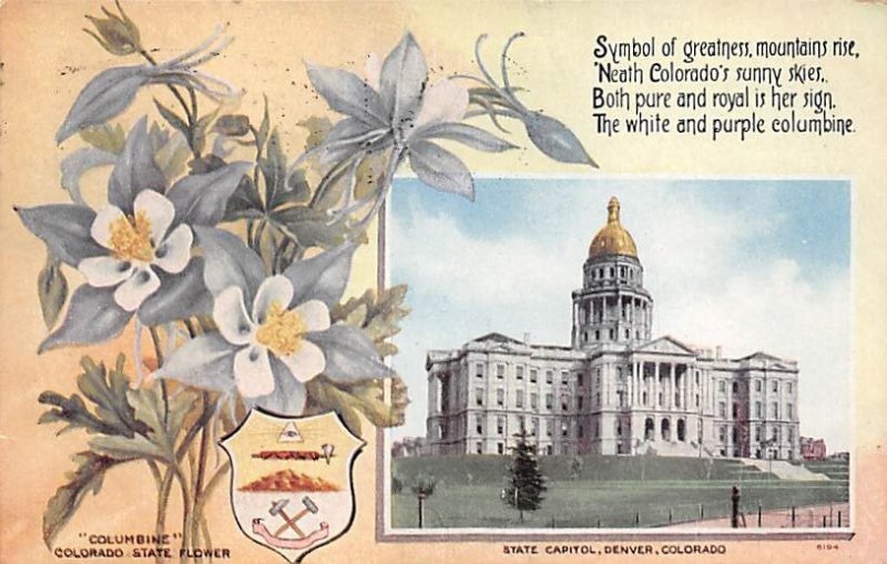 Columbine State Flower Colorado, USA State Capitol 1912 