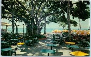 Postcard - Banyon Tree Court, Moana Hotel - Honolulu, Hotel