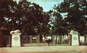 Vintage Postcard Entrance Memphis Zoological Garden Attraction Memphis Tennessee