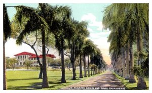 Punahou School Royal Palm Avenue Hawaii Private Mailing Card Island Curio Co