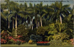 Florida St Petersburg Sunken Gardens Stately Royal Palms & Flowers 1952 Curteich
