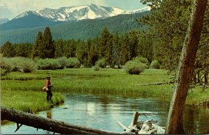 Montana Miners Creek Near Jackson