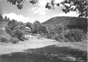 BG30411 hotel bergfrieden iselsberg osttirol austria  CPSM 14.5x10cm