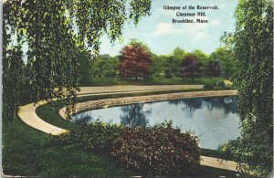 USA Glimpse Of The Reservoir Chestnut Hill Brookline Mass Vintage Postcard 05.15