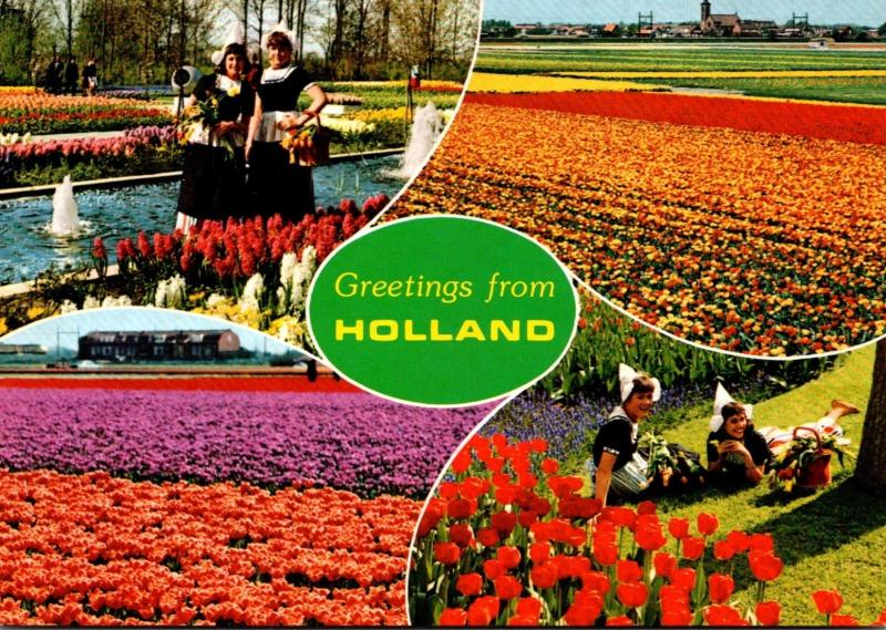 Greetings From Holland Advertsing Dutch Gardens Montvale New Jersey