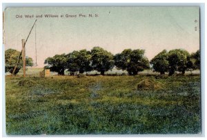 1906 Old Well and Willos at Grand Pre Nova Scotia Canada Posted Postcard