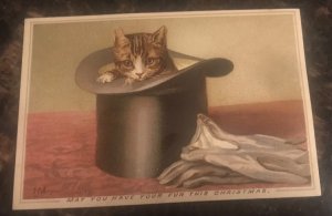 1880s Victorian Vintage Cat Christmas Card Cute Cat in A Hat