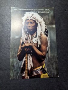 Mint USA Native American Postcard Chief Two Guns White Calf Blackfeet Indian