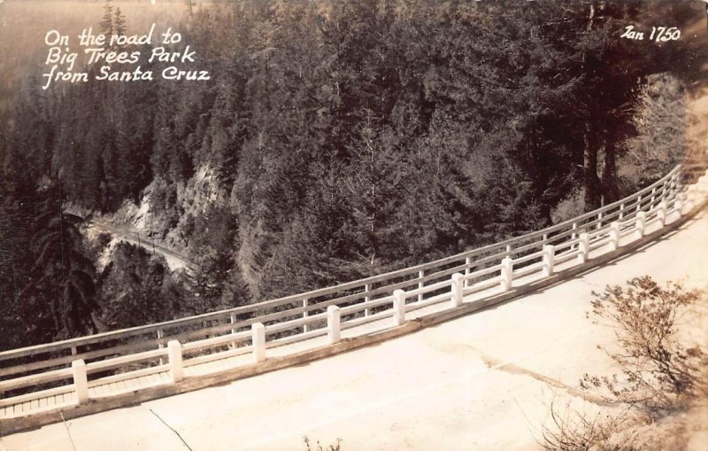RPPC ROAD TO BIG TREE PARK SANTA CRUZ CALIFORNIA REAL PHOTO POSTCARD (1940s)