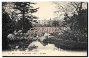 Old Postcard Nantes Jardin des Plantes