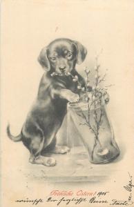 Puppy Dog Easter 1905 fantasy postcard