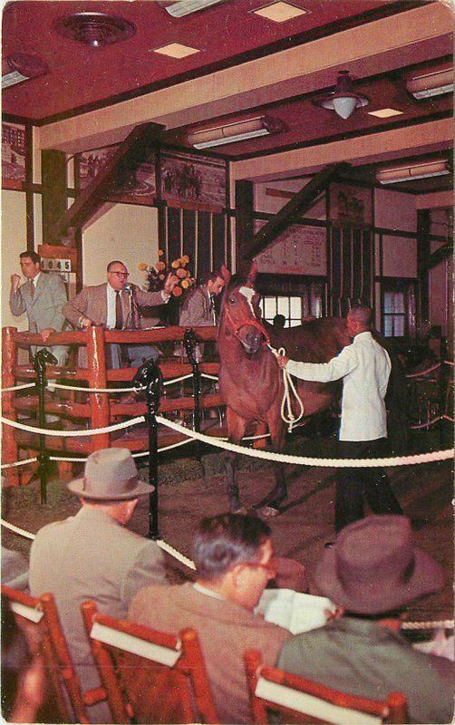 Blue Grass Race Track Lexington Kentucky 1950s Interior postcard 9672