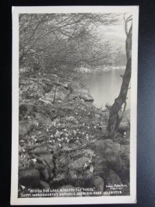 Cumbria: Wordsworth's Daffodils Glencoin Park BESIDE THE LAKE- Old RP PC by Lowe