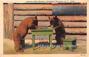 Learning Table Manners, Bears - Adirondack Mts, New York NY  