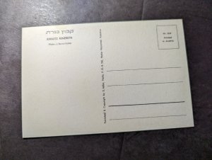 Mint Jerusalem Palestine RPPC Postcard Kibbutz Kinereth J Benor Kalter