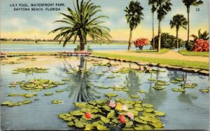 postcard Daytona Beach FL - Lily Pool, Waterfront Park