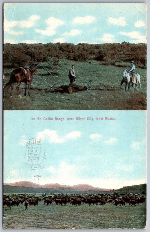 Vtg Silver City New Mexico NM Cattle Range Cowboys Hogtie Steer 1910s Postcard