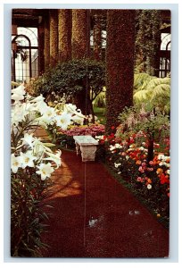 Vintage Longwood Gardens, Kennett Square, PA. Postcard F143E