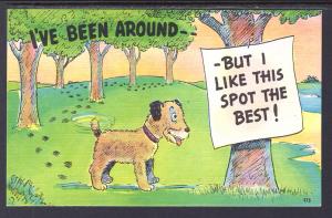 I've Been Around But I Like This Spot Best,Dog,Tree Comic