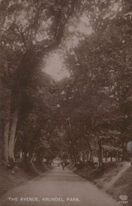 Sussex Postcard - The Avenue, Arundel Park RS21797