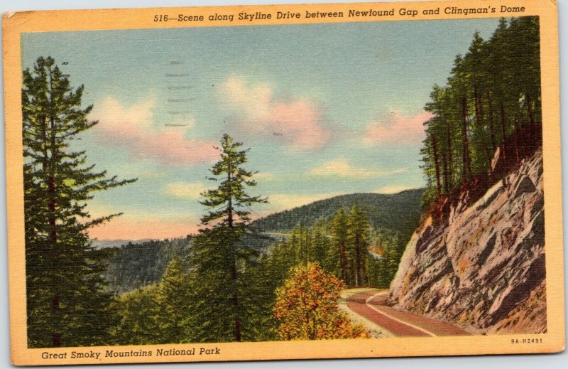 postcard TN Great Smoky Mountains - Scene along Skyline Drive
