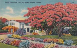 Florida Miami Royal Poinciana and Home 1948