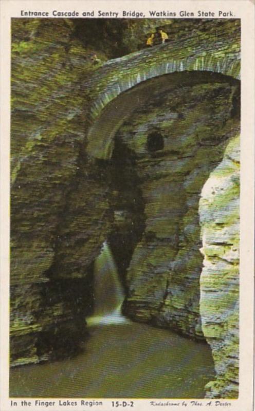 New York Watkins Glen Entrance Cascade and Sentry Bridge Dexter Press