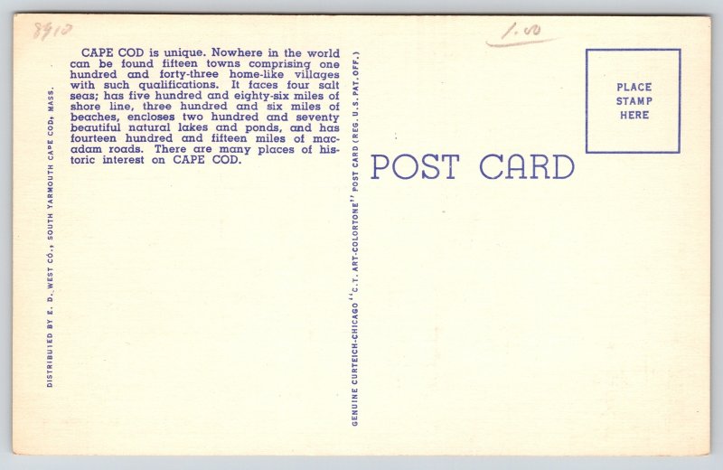 Maps~Caoe Cod Forefathers Monument & Pilgrim Monument~Vintage Postcard