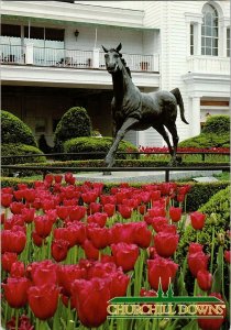 Churchill Downs Aristides Lucky Prints Horse Flowers Tulips Bronze Postcard VTG 