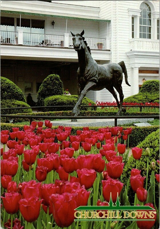 Churchill Downs Aristides Lucky Prints Horse Flowers Tulips Bronze Postcard VTG 