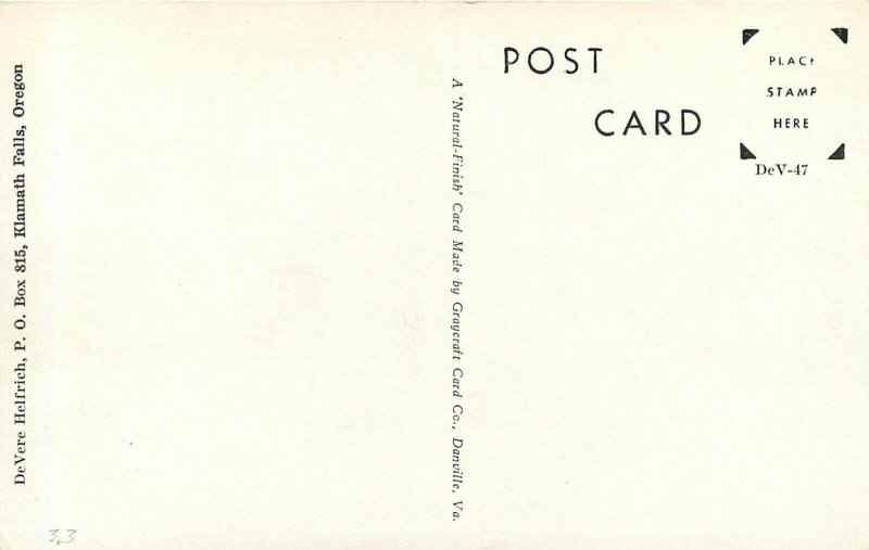 c1945 Postcard; Buck Abbott Trick Rider & Roper Medford OR Rodeo Western Cowboy