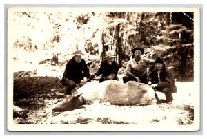 RPPC Elk Killed By Cougar in Olympic Mountains Washington WA UNP Postcard Y15