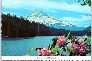 M-51133 Lost Lake and Mt Hood Oregon USA