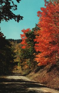 Vintage Postcard Autumn Foliage Road To Spruce Knob Highest Point West Virginia 