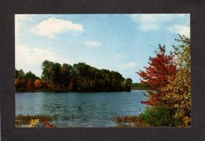 ME Pickerel Pond Limerick Maine Postcard Published by Lutte Fryeburg