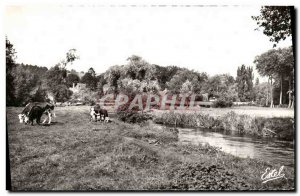 Postcard Modern Ezy sur Eure Le Pont des Cordeliers in Paturages Waterfront E...