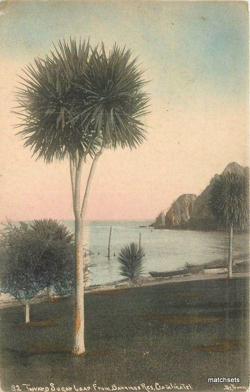 1911 Sugar Loaf Bannings Residence Catalina California hand colored 1153