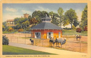 Camels, Park Mansion, Druid Hill Park Baltimore, Maryland MD Postcards